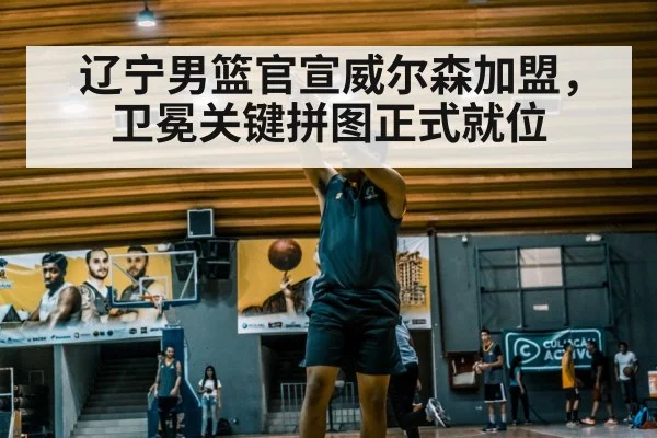 辽宁男篮官宣威尔森加盟,卫冕关键拼图正式就位