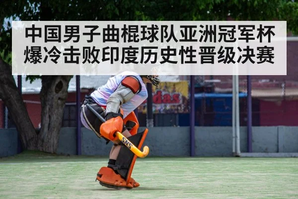 field hockey goalkeeper save